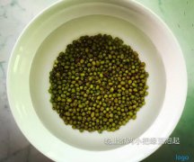 绿豆芽制作教程，秒懂哟