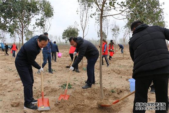 郑州市兴达路街道：牵春风种绿意 志愿环保在行动