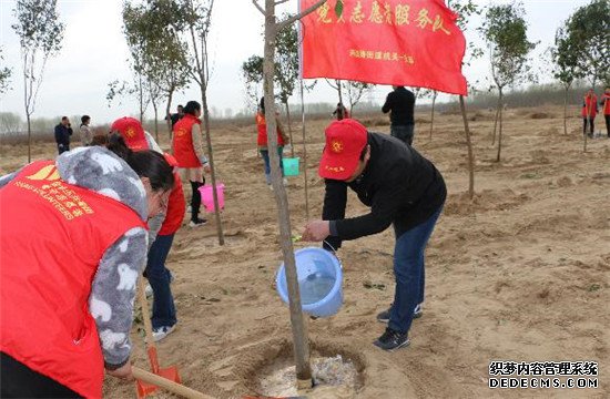 郑州市兴达路街道：牵春风种绿意 志愿环保在行动