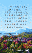 习近平文明交流“话中画”