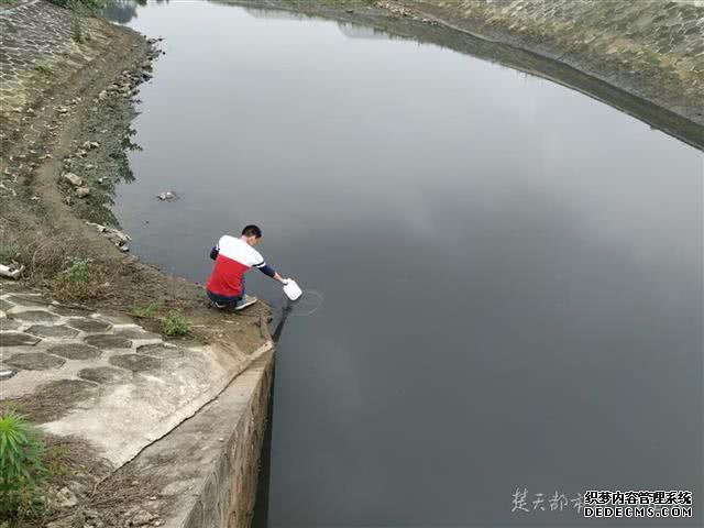 江夏养殖户大量鲈鱼死亡 当地环保部门介入调查