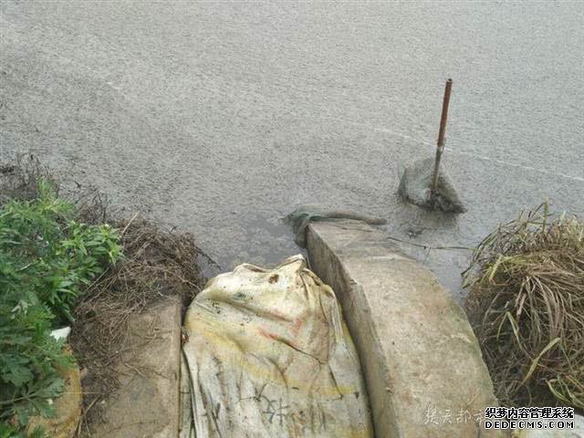 江夏养殖户大量鲈鱼死亡 当地环保部门介入调查