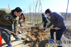 烟台清泉实业有限公司志愿者服务队参加植树活动