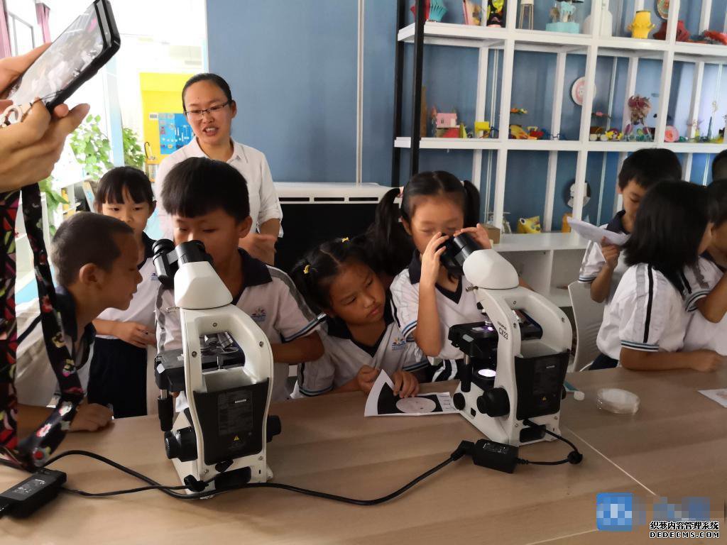 “哇，原来细胞长这样！”“小大夫”广东医科大探寻医学奥秘