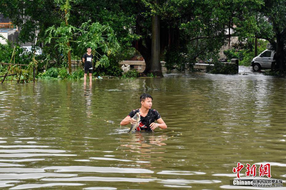 台风“山竹”致广东台山多地出现内涝